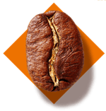 arabica bean