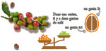 le cafe est un fruit