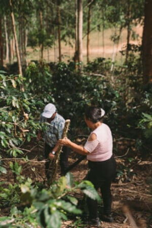 peru projet 1