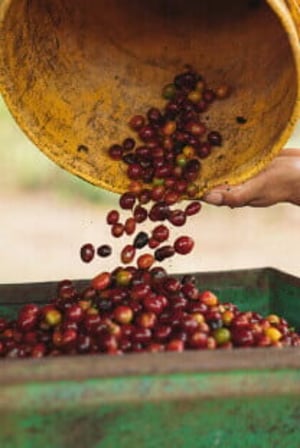 peru projet 3