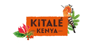 visual kitale kenya