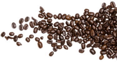 grains