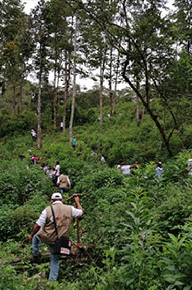 honduras projet 1