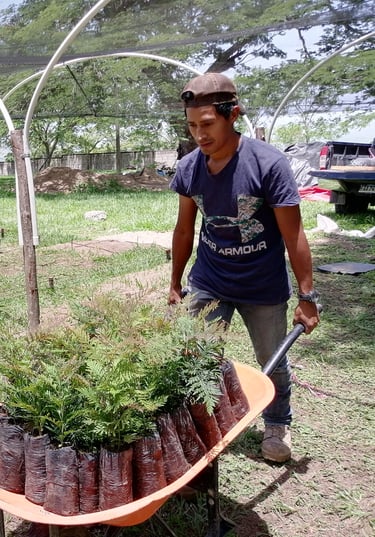 honduras projet 3