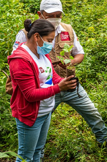 honduras projet 4