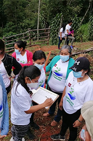 honduras projet 5