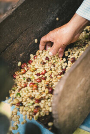 peru projet 2