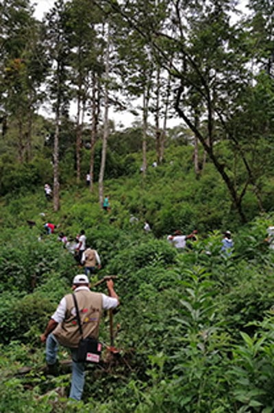 honduras projet 1