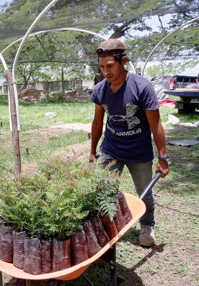 honduras projet 3